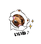 Toy Poodle MoMo Happy Days♪（個別スタンプ：9）