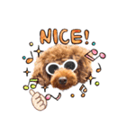 Toy Poodle MoMo Happy Days♪（個別スタンプ：15）