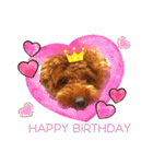 Toy Poodle MoMo Happy Days♪（個別スタンプ：19）