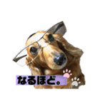 どんなときも可愛いチェーさん（個別スタンプ：15）