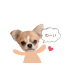 どうも、ちくわです4（個別スタンプ：3）