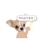 どうも、ちくわです4（個別スタンプ：17）