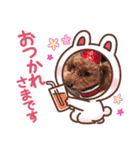 4匹の湘南ボーイ2（個別スタンプ：5）