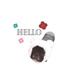 OLEO's STAMP！（個別スタンプ：5）