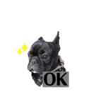 OLEO's STAMP！（個別スタンプ：6）