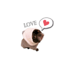 OLEO's STAMP！（個別スタンプ：7）