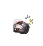 OLEO's STAMP！（個別スタンプ：8）