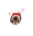 OLEO's STAMP！（個別スタンプ：9）