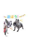 OLEO's STAMP！（個別スタンプ：10）