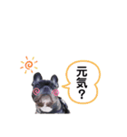 OLEO's STAMP！（個別スタンプ：11）
