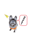 OLEO's STAMP！（個別スタンプ：12）
