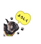 OLEO's STAMP！（個別スタンプ：13）