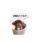 OLEO's STAMP！（個別スタンプ：14）