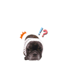 OLEO's STAMP！（個別スタンプ：23）