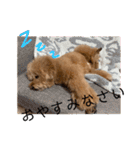 レオくん☆part2（個別スタンプ：12）