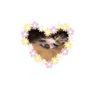 ハリネズミの「との」（個別スタンプ：3）