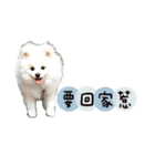 ハメロン、日常（個別スタンプ：1）