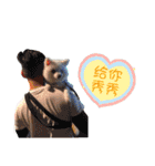 ハメロン、日常（個別スタンプ：10）