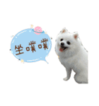 ハメロン、日常（個別スタンプ：14）