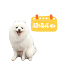 ハメロン、日常（個別スタンプ：18）