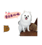 ハメロン、日常（個別スタンプ：19）
