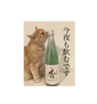 だいずとあずきのねこねこすたんぷ2（個別スタンプ：3）