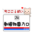 今ココ！ ”熊本市電”（個別スタンプ：24）