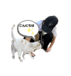 町ねこチロと飼いねこコトのスタンプ（個別スタンプ：4）