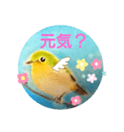 毎日に優しさを♥️(小鳥のパステル画)（個別スタンプ：1）