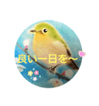 毎日に優しさを♥️(小鳥のパステル画)（個別スタンプ：3）
