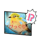 毎日に優しさを♥️(小鳥のパステル画)（個別スタンプ：7）