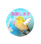 毎日に優しさを♥️(小鳥のパステル画)（個別スタンプ：11）