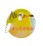 毎日に優しさを♥️(小鳥のパステル画)（個別スタンプ：12）
