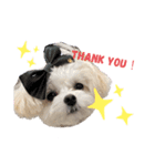 バビのスタンプvol.1（個別スタンプ：1）
