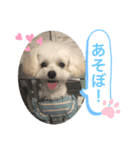 バビのスタンプvol.1（個別スタンプ：4）