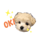 バビのスタンプvol.1（個別スタンプ：7）