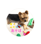 くっきー君だよ。（個別スタンプ：2）