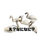 モコモコですが何か2（個別スタンプ：8）