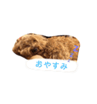 ポンテときどきペディ（個別スタンプ：7）
