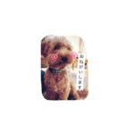 ポンテときどきペディ（個別スタンプ：16）