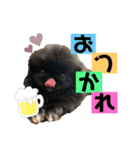 けだまひじきトラ（個別スタンプ：15）