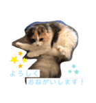 ✨ハワイ三兄弟✨マハロ⭐︎アロハ⭐︎ロコ（個別スタンプ：7）