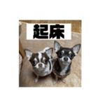 マロンとルナの挨拶集（個別スタンプ：18）