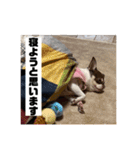 マロンとルナの挨拶集（個別スタンプ：29）