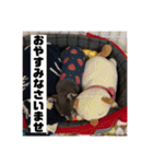 マロンとルナの挨拶集（個別スタンプ：38）