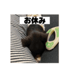 マロンとルナの挨拶集（個別スタンプ：40）