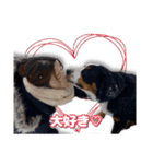 みんな大好きレオくん（個別スタンプ：10）