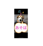 シバックスの心（個別スタンプ：1）