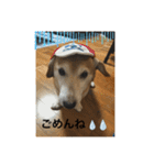シバックスの心（個別スタンプ：5）
