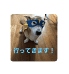 シバックスの心（個別スタンプ：15）